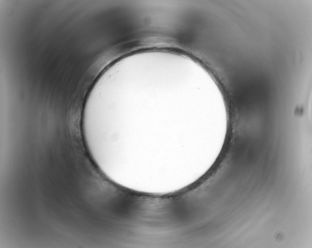 X0000103931273200809191341