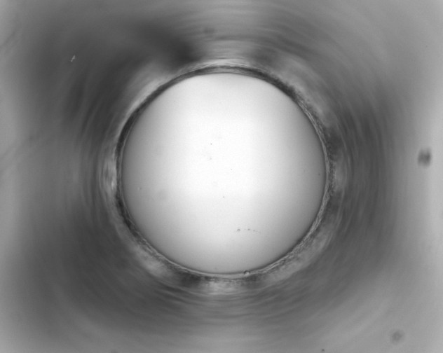 X0000103931274200809191341