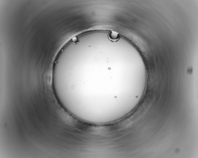 X0000103931276200809191341