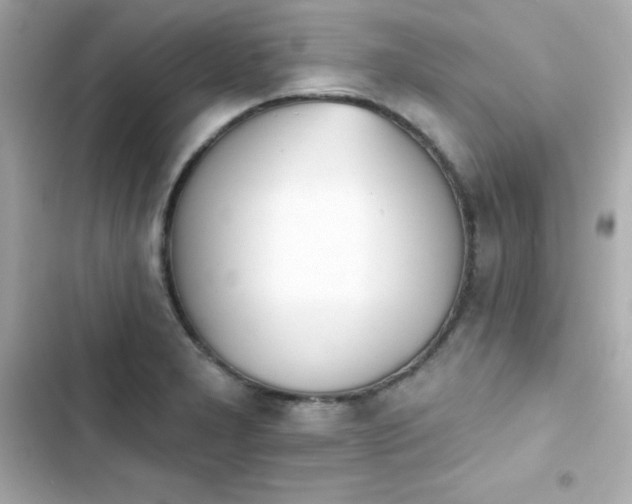 X0000103931277200809191341