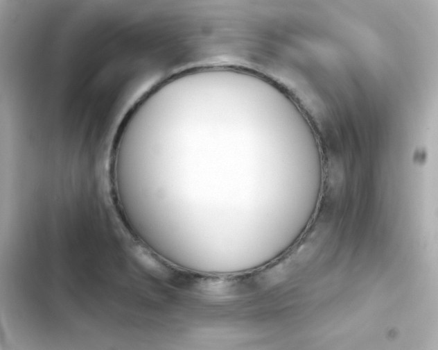 X0000103931278200809191341
