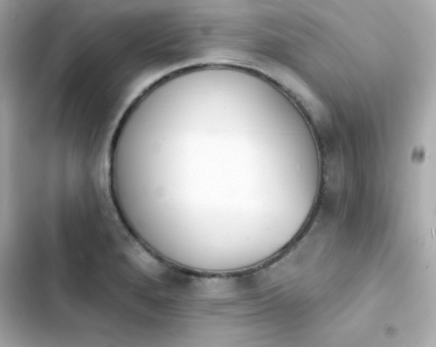 X0000103931280200809191341
