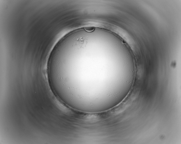X0000103931283200809191341