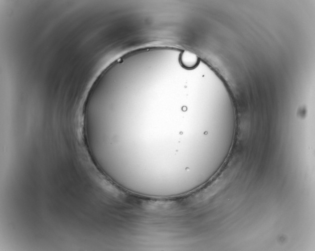 X0000103931284200809191341