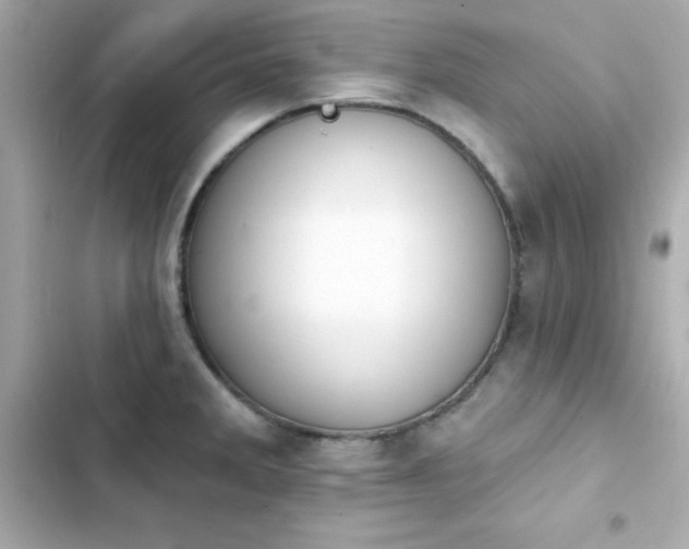 X0000103931285200809191341