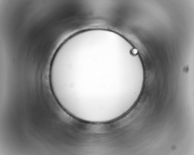 X0000103931288200809191341