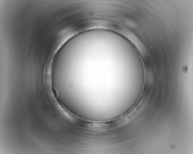 X0000103931290200809191341