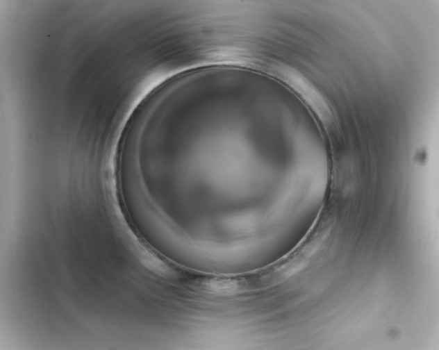 X0000103931291200809191341