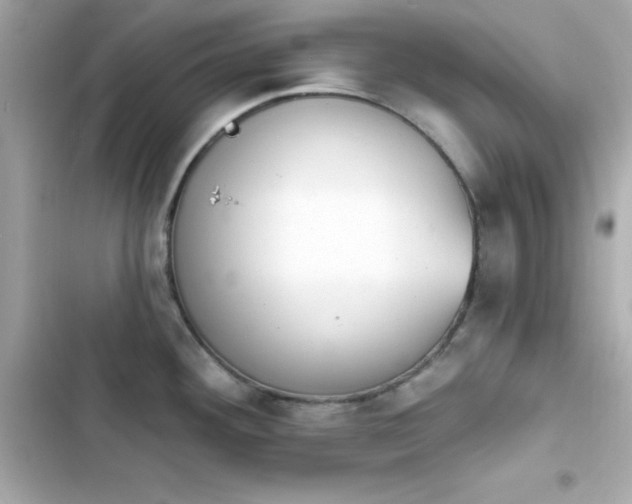 X0000103931292200809191341