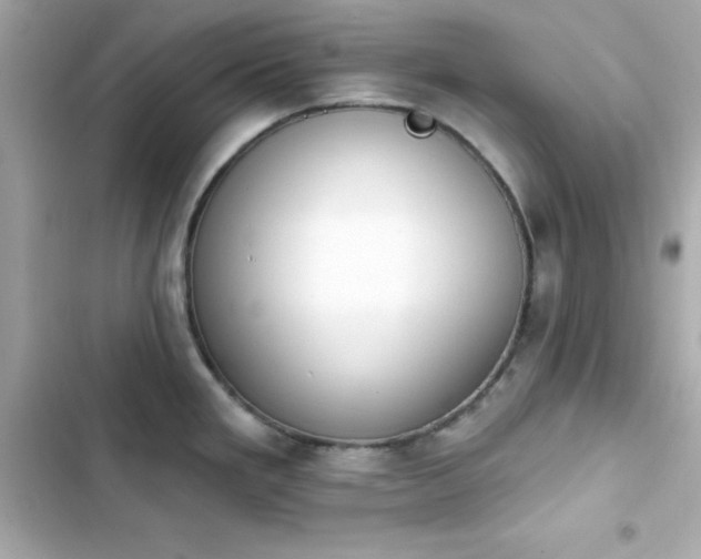 X0000103931293200809191341
