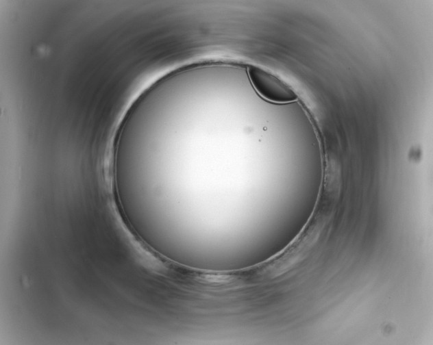 X0000103931295200809191341