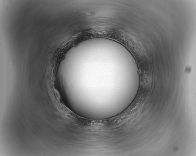 X0000103931297200809191340