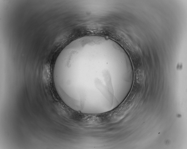 X0000103931298200809191340