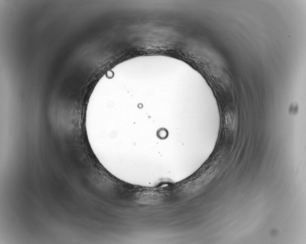 X0000103931300200809191340