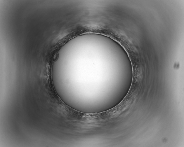 X0000103931301200809191340