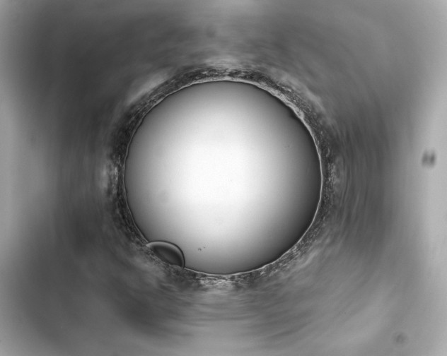 X0000103931302200809191340