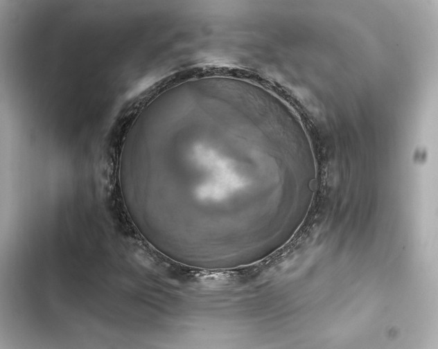 X0000103931303200809191340