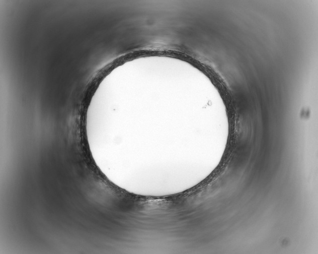 X0000103931304200809191340
