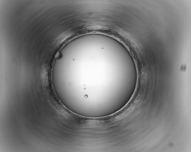 X0000103931305200809191340