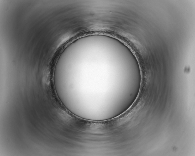 X0000103931306200809191340