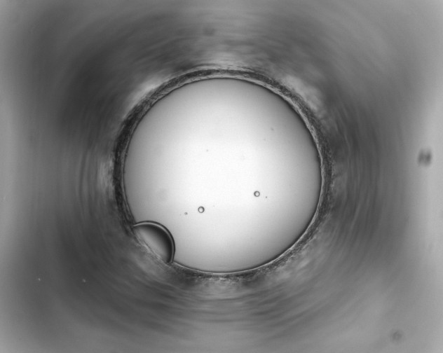 X0000103931307200809191340