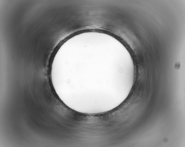 X0000103931308200809191340