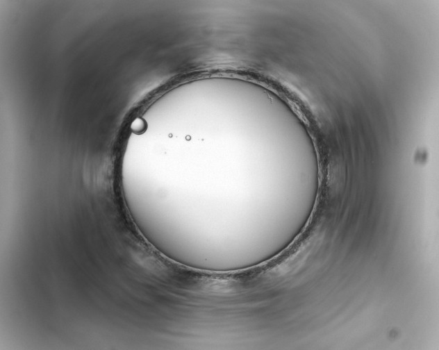 X0000103931309200809191340