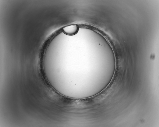 X0000103931311200809191340