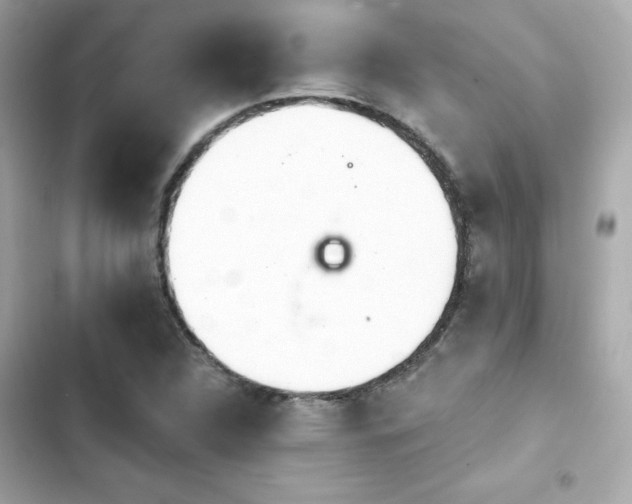 X0000103931312200809191340