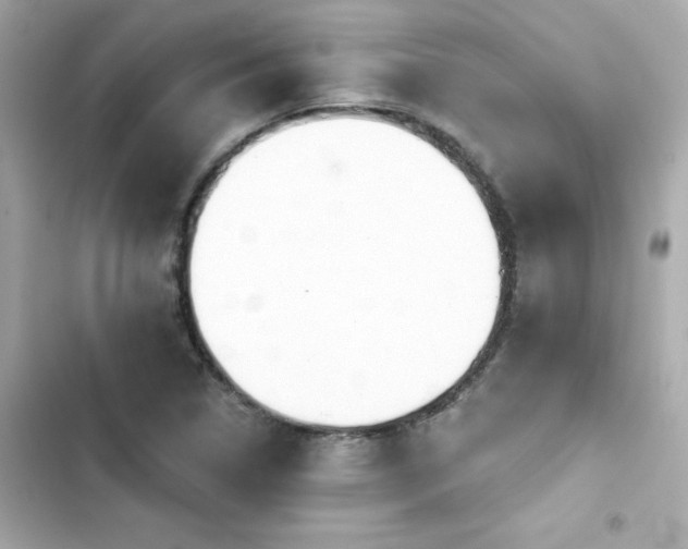 X0000103931314200809191340