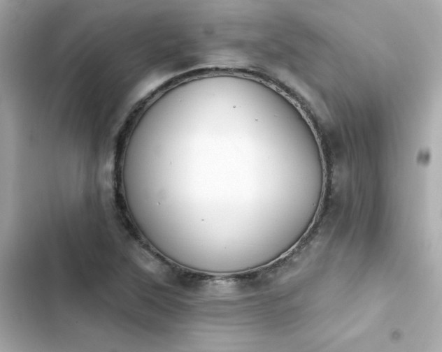 X0000103931315200809191340