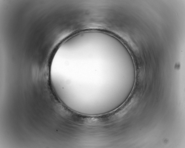 X0000103931317200809191340