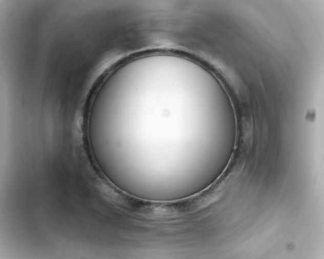 X0000103931318200809191340