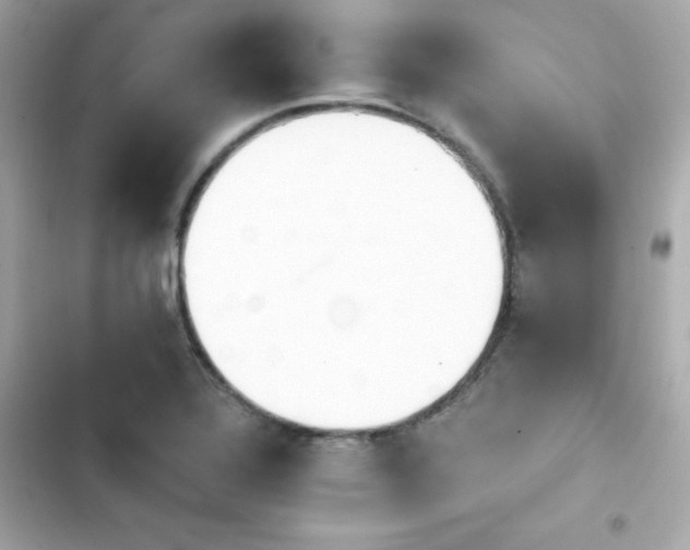 X0000103931320200809191340