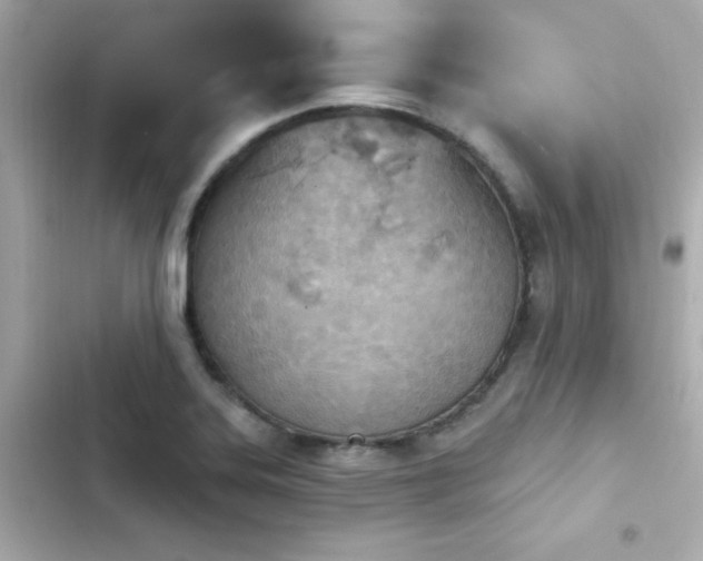 X0000103931323200809191341