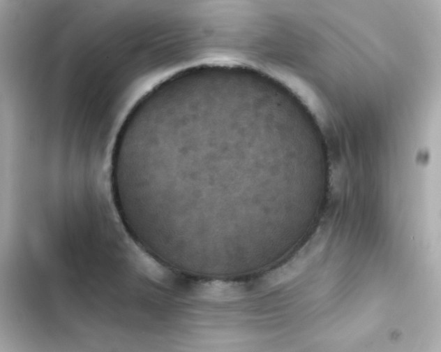 X0000103931327200809191341