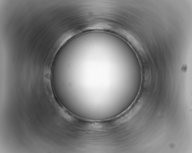 X0000103931329200809191341