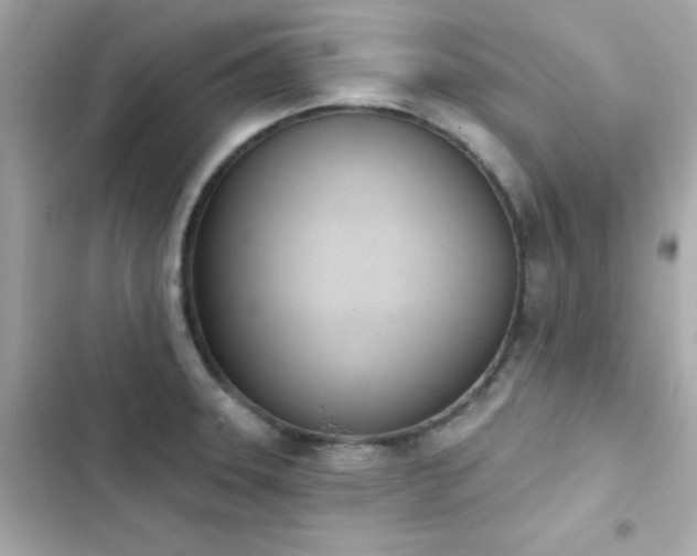 X0000103931331200809191341