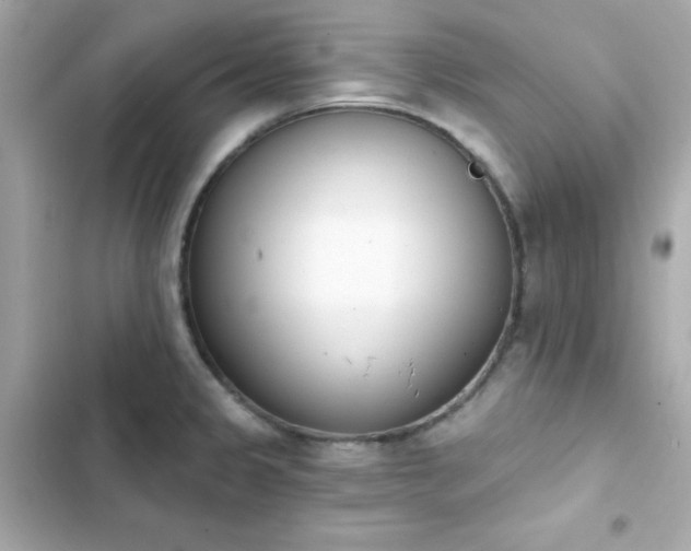 X0000103931333200809191341