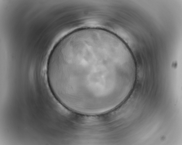 X0000103931334200809191341
