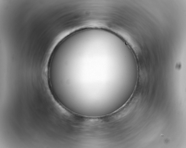 X0000103931335200809191341