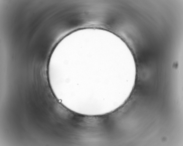X0000103931336200809191341