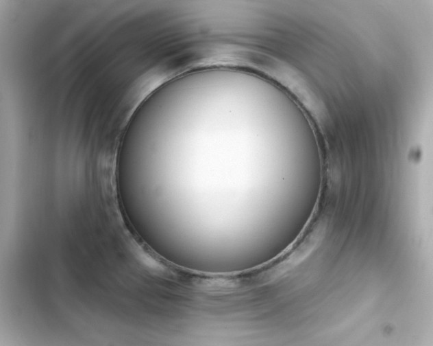 X0000103931337200809191341
