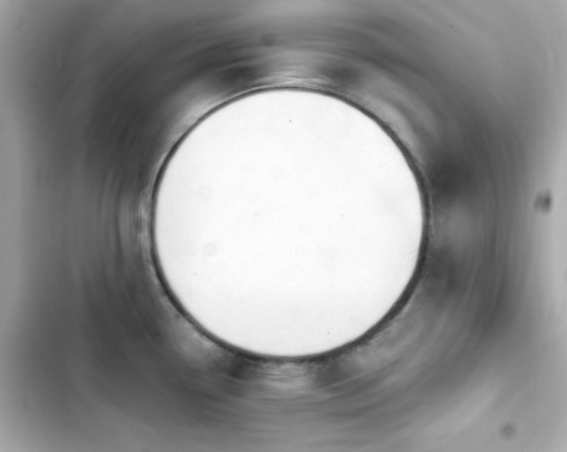 X0000103931338200809191341