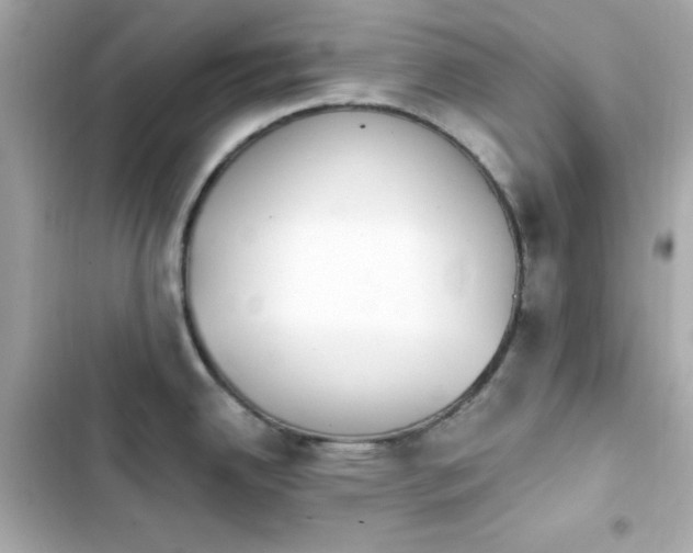 X0000103931342200809191341