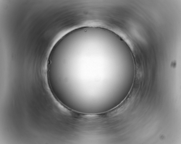 X0000103931343200809191341