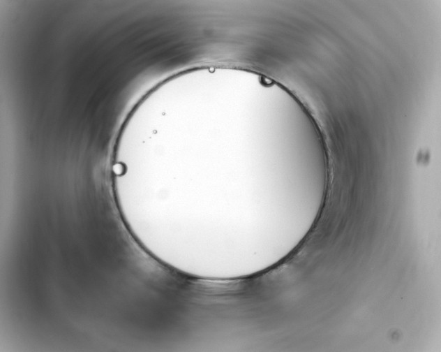 X0000103931344200809191341