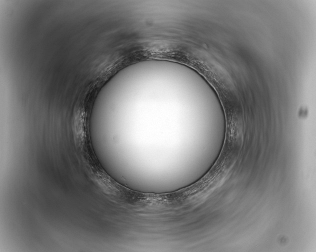 X0000103931346200809191340