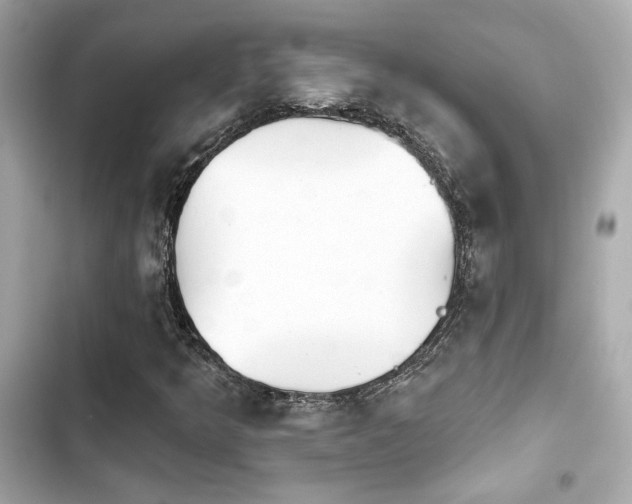 X0000103931349200809191340