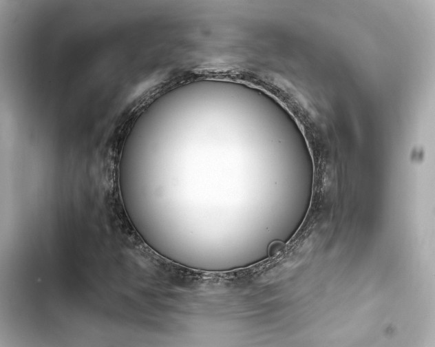 X0000103931350200809191340
